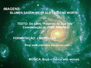 I MAGENS : BLUMEN SAGON MEHR ALS TAUSEND WORTE TEXTO: Do Livro “Palavras de Sua Voz” Coordenação de JOSÉ AMARAL FORMATAÇÃO: J.MEIRELLES [email_address] Blog: www.jmeirelles.wordpress.com MÚSICA: Enya – Dance with wolves 