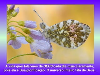 A vida quer falar-nos de  DEUS  cada dia mais claramente,  pois ela é Sua glorificação. O universo inteiro fala de Deus.  