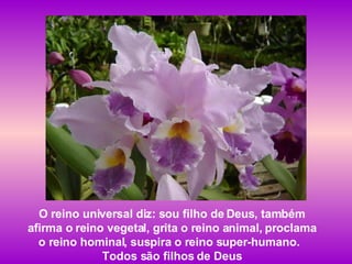 O reino universal diz: sou filho de Deus, também afirma o reino vegetal, grita o reino animal, proclama  o reino hominal, suspira o reino super-humano.  Todos são filhos de Deus 