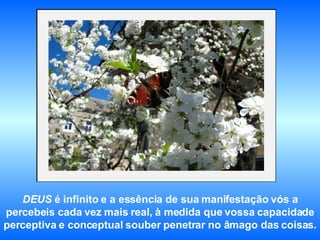 DEUS  é infinito e a essência de sua manifestação vós a percebeis cada vez mais real, à medida que vossa capacidade perceptiva e conceptual souber penetrar no âmago das coisas.   