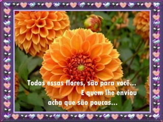 Todas essas flores, são para você...  E quem lhe enviou acha que são poucas... 