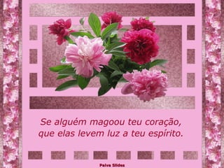 Se alguém magoou teu coração, que elas levem luz a teu espírito. 