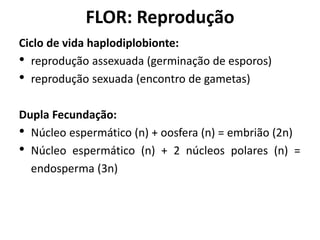 Ciclo de vida haplodiplobionte:
• reprodução assexuada (germinação de esporos)
• reprodução sexuada (encontro de gametas)
Dupla Fecundação:
• Núcleo espermático (n) + oosfera (n) = embrião (2n)
• Núcleo espermático (n) + 2 núcleos polares (n) =
endosperma (3n)
FLOR: Reprodução
 