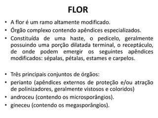 • A flor é um ramo altamente modificado.
• Órgão complexo contendo apêndices especializados.
• Constituída de uma haste, o pedicelo, geralmente
possuindo uma porção dilatada terminal, o receptáculo,
de onde podem emergir os seguintes apêndices
modificados: sépalas, pétalas, estames e carpelos.
• Três principais conjuntos de órgãos:
• perianto (apêndices externos de proteção e/ou atração
de polinizadores, geralmente vistosos e coloridos)
• androceu (contendo os microsporângios).
• gineceu (contendo os megasporângios).
FLOR
 