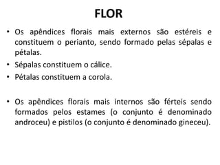 • Os apêndices florais mais externos são estéreis e
constituem o perianto, sendo formado pelas sépalas e
pétalas.
• Sépalas constituem o cálice.
• Pétalas constituem a corola.
• Os apêndices florais mais internos são férteis sendo
formados pelos estames (o conjunto é denominado
androceu) e pistilos (o conjunto é denominado gineceu).
FLOR
 