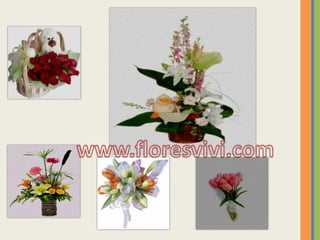 www.floresvivi.com