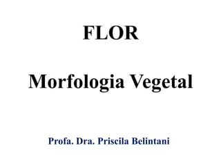 FLOR
Morfologia Vegetal
Profa. Dra. Priscila Belintani

 