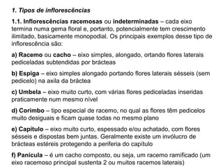 1. Tipos de inflorescências
1.1. Inflorescências racemosas ou indeterminadas – cada eixo
termina numa gema floral e, portanto, potencialmente tem crescimento
ilimitado, basicamente monopodial. Os principais exemplos desse tipo de
inflorescência são:
a) Racemo ou cacho – eixo simples, alongado, ortando flores laterais
pediceladas subtendidas por brácteas
b) Espiga – eixo simples alongado portando flores laterais sésseis (sem
pedicelo) na axila da bráctea
c) Umbela – eixo muito curto, com várias flores pediceladas inseridas
praticamente num mesmo nível
d) Corimbo – tipo especial de racemo, no qual as flores têm pedicelos
muito desiguais e ficam quase todas no mesmo plano
e) Capítulo – eixo muito curto, espessado e/ou achatado, com flores
sésseis e dispostas bem juntas. Geralmente existe um invólucro de
brácteas estéreis protegendo a periferia do capítulo
f) Panícula – é um cacho composto, ou seja, um racemo ramificado (um
eixo racemoso principal sustenta 2 ou muitos racemos laterais)

 
