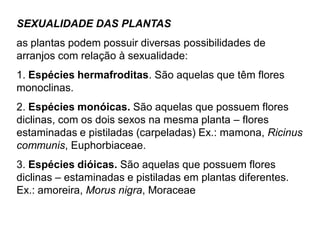 SEXUALIDADE DAS PLANTAS

as plantas podem possuir diversas possibilidades de
arranjos com relação à sexualidade:
1. Espécies hermafroditas. São aquelas que têm flores
monoclinas.
2. Espécies monóicas. São aquelas que possuem flores
diclinas, com os dois sexos na mesma planta – flores
estaminadas e pistiladas (carpeladas) Ex.: mamona, Ricinus
communis, Euphorbiaceae.

3. Espécies dióicas. São aquelas que possuem flores
diclinas – estaminadas e pistiladas em plantas diferentes.
Ex.: amoreira, Morus nigra, Moraceae

 