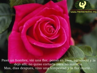 Pasó un hombre, vió una flor, pensó en Dios, agradeció y la
       dejó allí; no quiso cortarla para no matarla.
 Mas, días despues, vino una tempestad y la flor murió...
 