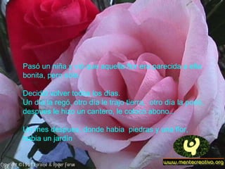 Pasó un niña y vió que aquella flor era parecida a ella:
bonita, pero sola.

Decidió volver todos los días.
Un día la regó, otro día le trajo tierra, otro día la podó,
despues le hizo un cantero, le colocó abono...

Un mes despues, donde habia piedras y una flor,
habia un jardín
 