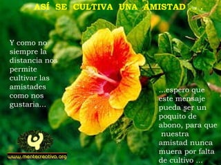 ASÍ SE CULTIVA UNA AMISTAD . . .



Y como no
siempre la
distancia nos
permite
cultivar las
amistades                    ...espero que
como nos                     este mensaje
gustaria...                  pueda ser un
                             poquito de
                             abono, para que
                              nuestra
                             amistad nunca
                             muera por falta
                             de cultivo ...
 