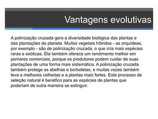Vantagens evolutivas
A polinização cruzada gera a diversidade biológica das plantas e
das plantações do planeta. Muitos vegetais híbridos - as orquídeas,
por exemplo - são de polinização cruzada, o que cria mais espécies
raras e exóticas. Ela também oferece um rendimento melhor em
pomares comerciais, porque os produtores podem cuidar de suas
plantações de uma forma mais sistemática. A polinização cruzada
também protege as abelhas e borboletas, e muitas vezes também
leva a melhores colheitas e a plantas mais fortes. Este processo de
seleção natural é benéfico para as espécies de plantas que
poderiam de outra maneira se extinguir.
 