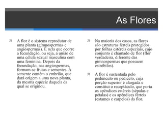 As Flores
 A flor é o sistema reprodutor de
uma planta (gimnospermas e
angiospermas). É nela que ocorre
a fecundação, ou seja, a união de
uma célula sexual masculina com
uma feminina. Depois da
fecundação, nas angiospermas,
formam-se frutos e sementes. A
semente contém o embrião, que
dará origem a uma nova planta,
da mesma espécie daquela da
qual se originou.
 Na maioria dos casos, as flores
são estruturas férteis protegidos
por folhas estéreis especiais, cujo
conjunto é chamado de flor (flor
verdadeira, diferente das
gimnospermas que possuem
estróbilos).
 A flor é sustentada pelo
pedúnculo ou pedicelo, cuja
porção superior é alargada e
constitui o receptáculo, que porta
os apêndices estéreis (sépalas e
pétalas) e os apêndices férteis
(estames e carpelos) da flor.
 