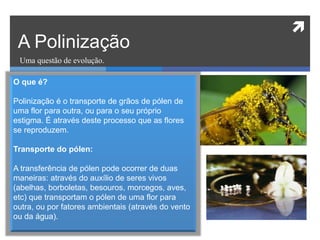
Uma questão de evolução.
A Polinização
O que é?
Polinização é o transporte de grãos de pólen de
uma flor para outra, ou para o seu próprio
estigma. É através deste processo que as flores
se reproduzem.
Transporte do pólen:
A transferência de pólen pode ocorrer de duas
maneiras: através do auxílio de seres vivos
(abelhas, borboletas, besouros, morcegos, aves,
etc) que transportam o pólen de uma flor para
outra, ou por fatores ambientais (através do vento
ou da água).
 