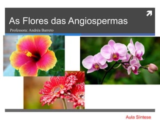 
As Flores das Angiospermas
Professora: Andréa Barreto
Aula Síntese
 