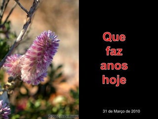 31 de Março de 2010 