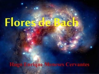 Flores de Bach
Hugo Enrique Meneses Cervantes
 