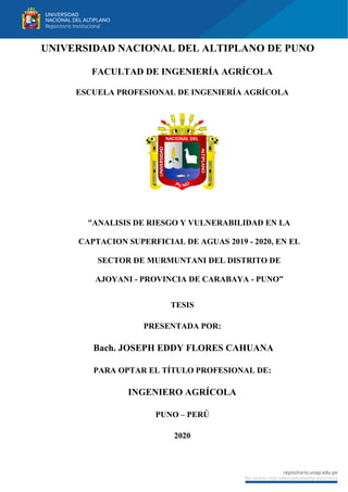 UNIVERSIDAD NACIONAL DEL ALTIPLANO DE PUNO
FACULTAD DE INGENIERÍA AGRÍCOLA
ESCUELA PROFESIONAL DE INGENIERÍA AGRÍCOLA
“ANALISIS DE RIESGO Y VULNERABILIDAD EN LA
CAPTACION SUPERFICIAL DE AGUAS 2019 - 2020, EN EL
SECTOR DE MURMUNTANI DEL DISTRITO DE
AJOYANI - PROVINCIA DE CARABAYA - PUNO”
TESIS
PRESENTADA POR:
Bach. JOSEPH EDDY FLORES CAHUANA
PARA OPTAR EL TÍTULO PROFESIONAL DE:
INGENIERO AGRÍCOLA
PUNO – PERÚ
2020
 