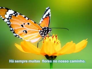 21/08/2017 Sandra Braconnot Face: Só Para falar de flores
Há sempre muitas flores no nosso caminho.
 