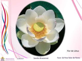 21/08/2017 Sandra Braconnot Face: Só Para falar de flores
Flor de Lótus
 