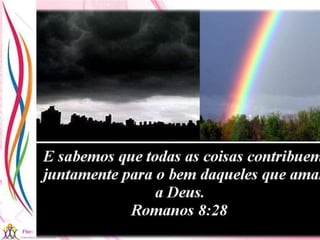 21/08/2017 Sandra Braconnot Face: Só Para falar de flores
 