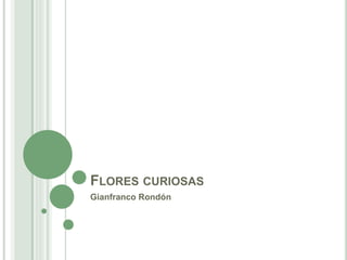 FLORES CURIOSAS
Gianfranco Rondón
 