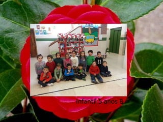 Infantil 5 anos B
 