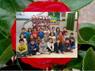 1º Primaria
 
