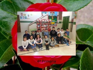 4ª Primaria
 