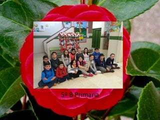 5º B Primaria
 