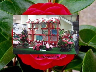 A exposición
 