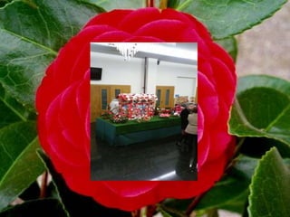 Flores da nosa terra