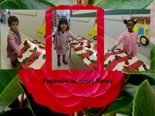 Pegamos as nosas flores