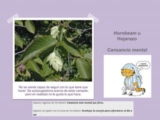 Hornbeam u
Hojarazo
Cansancio mental

No se siente capaz de seguir con lo que tiene que
hacer. Se autosugestiona acerca de estar cansado,
pero en realidad no le gusta lo que hace.

 