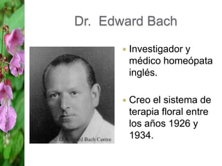 Dr. Edward Bach


Investigador y
médico homeópata
inglés.



Creo el sistema de
terapia floral entre
los años 1926 y
1934.

 