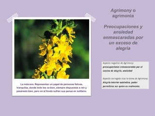 Agrimony o
agrimonia
Preocupaciones y
ansiedad
enmascaradas por
un exceso de
alegria

La máscara. Representan un papel de personas felices,
tranquilas, donde todo les va bien, siempre dispuestas a reír y
pasárselo bien, pero en el fondo sufren sus penas en solitario.

 