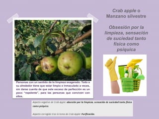 Crab apple o
Manzano silvestre
Obsesión por la
limpieza, sensación
de suciedad tanto
física como
psíquica

Personas con un sentido de la limpieza exagerado. Todo a
su alrededor tiene que estar limpio e inmaculado a veces,
sin darse cuenta de que este exceso de perfección es un
poco “repelente”, para las personas que conviven con
ellos.

 