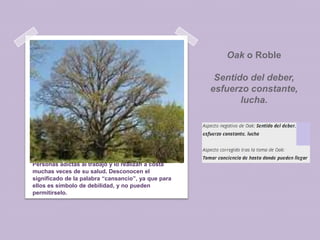 Oak o Roble
Sentido del deber,
esfuerzo constante,
lucha.

Personas adictas al trabajo y lo realizan a costa
muchas veces de su salud. Desconocen el
significado de la palabra “cansancio”, ya que para
ellos es símbolo de debilidad, y no pueden
permitírselo.

 