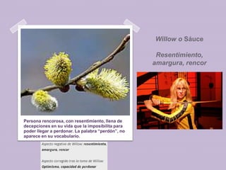 Willow o Sáuce
Resentimiento,
amargura, rencor

Persona rencorosa, con resentimiento, llena de
decepciones en su vida que la imposibilita para
poder llegar a perdonar. La palabra “perdón”, no
aparece en su vocabulario.

 