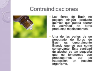 Contraindicaciones


Las flores de Bach no
poseen ningún producto
químico que pueda alterar
la actividad de otros
productos medicamentos.



Una de las partes de un
preparado de flores de
Bach
es
generalmente
Brandy que se usa como
conservante. Esta cantidad
de alcohol es tan pequeña
que no tendremos que
preocuparnos
por
su
interacción
en
nuestro
organismo.

 