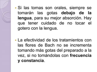 

Si las tomas son orales, siempre se
tomarán las gotas debajo de la
lengua, para su mejor absorción. Hay
que tener cuidado de no tocar el
gotero con la lengua.



La efectividad de los tratamientos con
las flores de Bach no se incrementa
tomando más gotas del preparado a la
vez, si no tomándolas con frecuencia
y constancia.

 