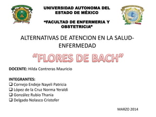 ALTERNATIVAS DE ATENCION EN LA SALUD-
ENFERMEDAD
DOCENTE: Hilda Contreras Mauricio
INTEGRANTES:
 Cornejo Endeje Nayeli Patricia
 López de la Cruz Norma Yeraldi
 González Rubio Thania
 Delgado Nolasco Cristofer
UNIVERSIDAD AUTONOMA DEL
ESTADO DE MÉXICO
“FACULTAD DE ENFERMERIA Y
OBSTETRICIA”
MARZO 2014
 