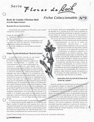 Flores de Bach - Fichas