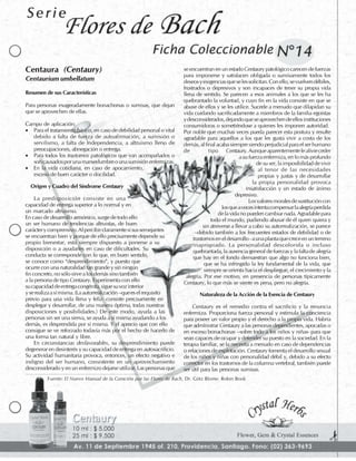 Flores de Bach - Fichas