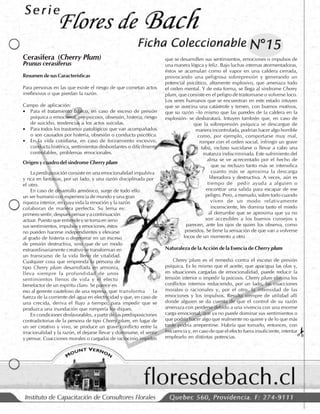 Flores de Bach - Fichas