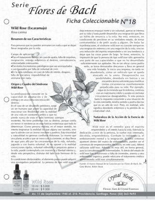Flores de Bach - Fichas