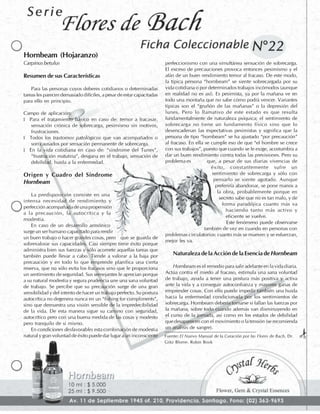 Flores de Bach - Fichas