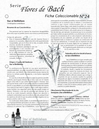 Flores de Bach - Fichas