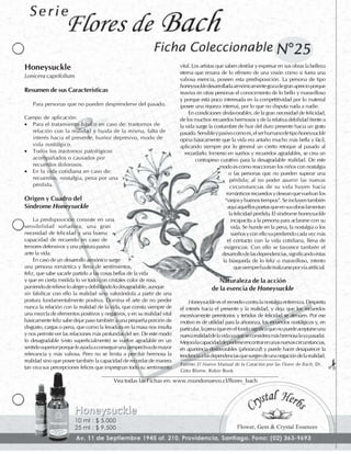 Flores de Bach - Fichas